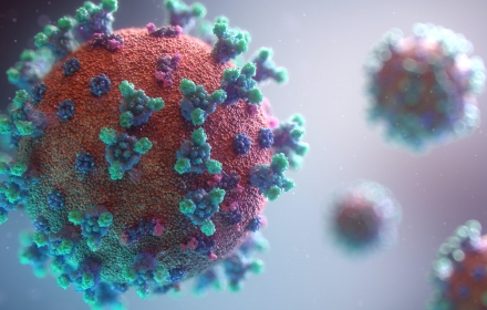 Visualization of the coronavirus causing COVID-19